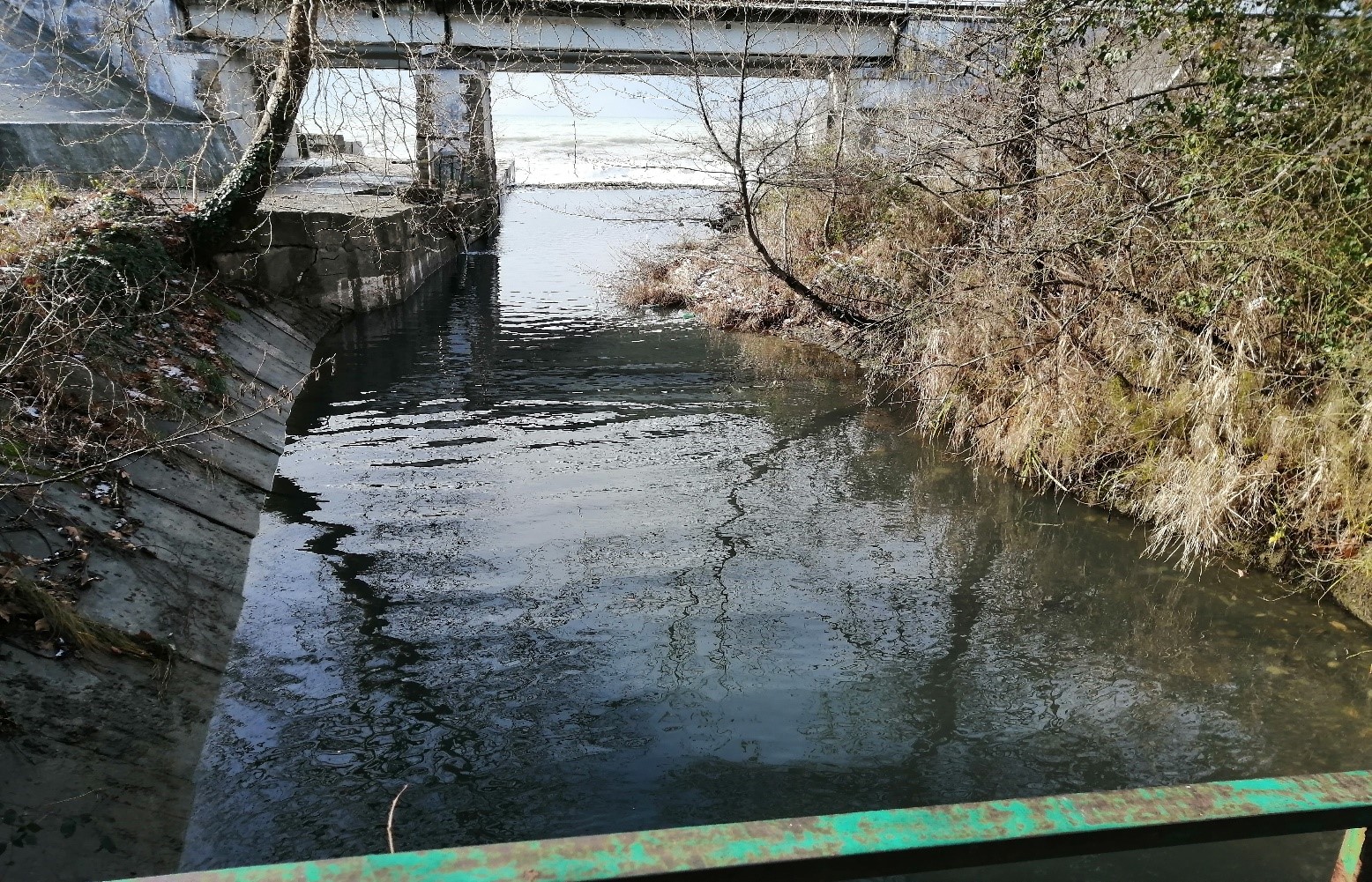 Сотрудники Росприроднадзора обнаружили сброс неочищенных сточных вод в районе Большого Сочи